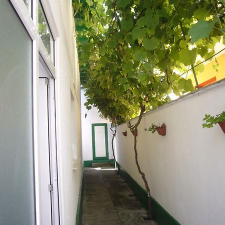 Apartamente Pinciuc Костинешти Экстерьер фото